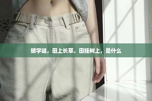 猜字谜，田上长草，田挂树上，是什么