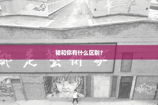 猪和你有什么区别？