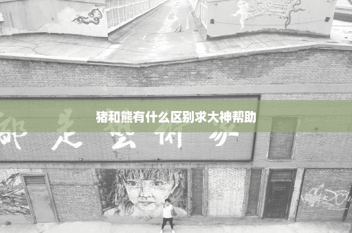 猪和熊有什么区别求大神帮助