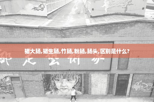 猪大肠,猪生肠,竹肠,粉肠,肠头,区别是什么?