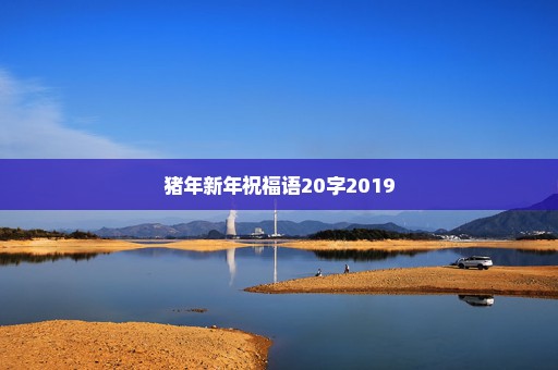 猪年新年祝福语20字2019