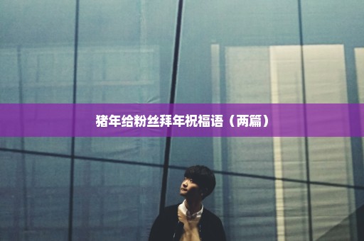 猪年给粉丝拜年祝福语（两篇）