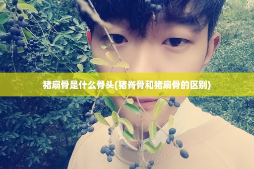 猪扇骨是什么骨头(猪脊骨和猪扇骨的区别)