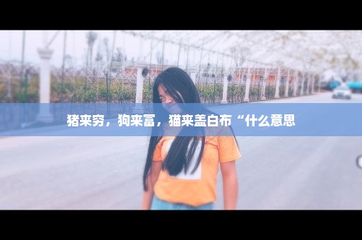 猪来穷，狗来富，猫来盖白布“什么意思