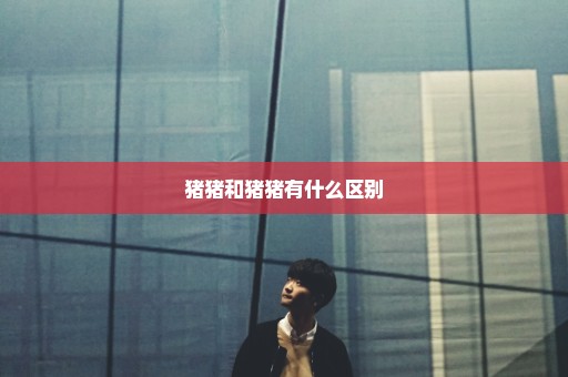 猪猪和猪猪有什么区别