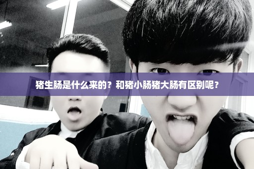 猪生肠是什么来的？和猪小肠猪大肠有区别呢？