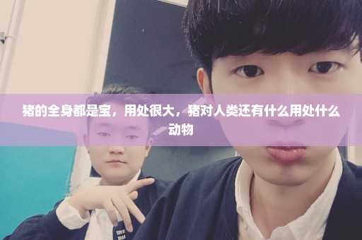 猪的全身都是宝，用处很大，猪对人类还有什么用处什么动物