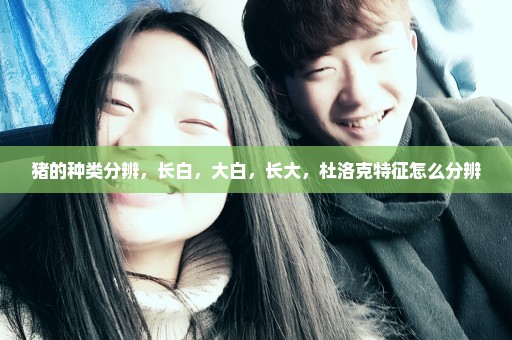 猪的种类分辨，长白，大白，长大，杜洛克特征怎么分辨
