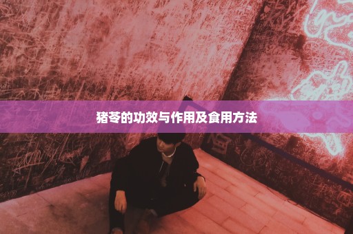 猪苓的功效与作用及食用方法