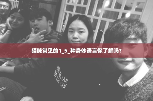 猫咪常见的1_5_种身体语言你了解吗？