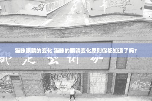 猫咪眼睛的变化 猫咪的眼睛变化原则你都知道了吗？