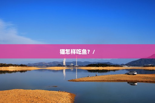 猫怎样吃鱼？/