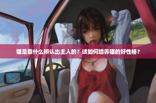 猫是靠什么辨认出主人的？该如何培养猫的好性格？