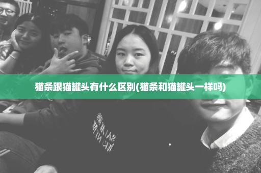 猫条跟猫罐头有什么区别(猫条和猫罐头一样吗)