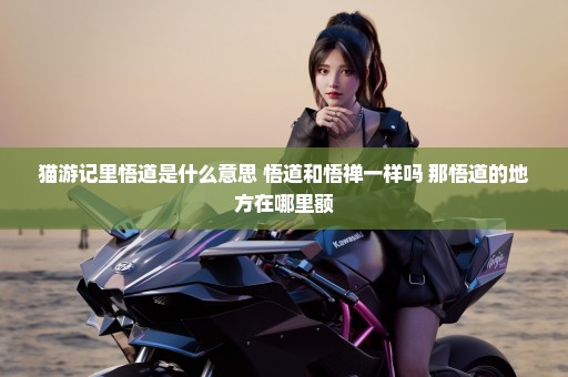 猫游记里悟道是什么意思 悟道和悟禅一样吗 那悟道的地方在哪里额