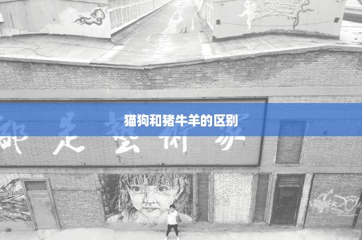 猫狗和猪牛羊的区别