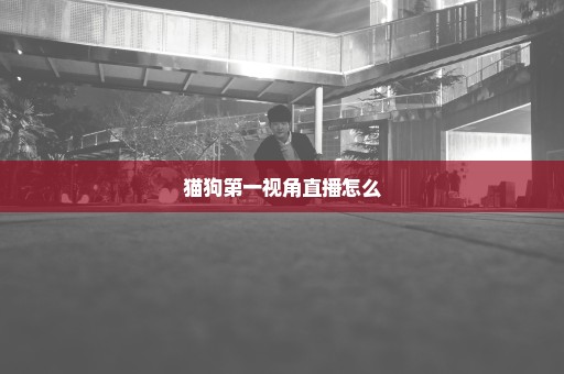猫狗第一视角直播怎么