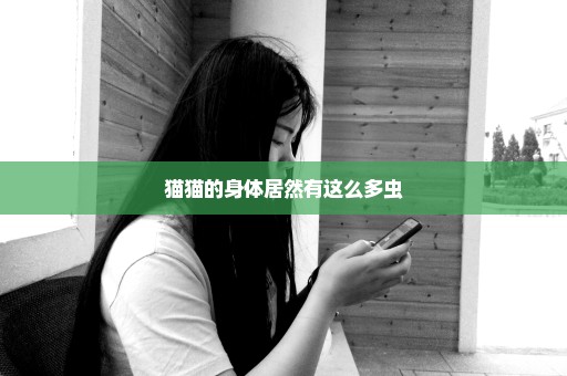 猫猫的身体居然有这么多虫