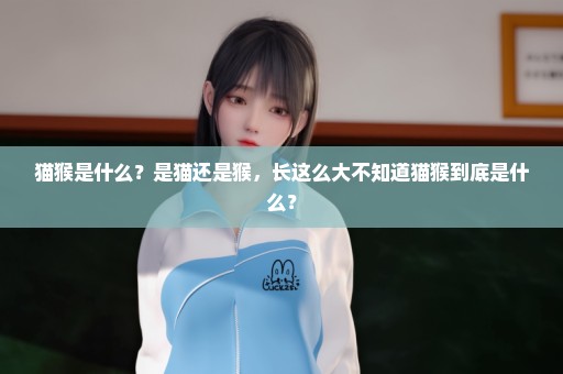 猫猴是什么？是猫还是猴，长这么大不知道猫猴到底是什么？