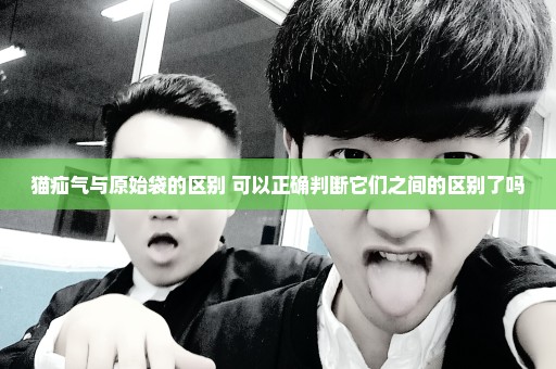 猫疝气与原始袋的区别 可以正确判断它们之间的区别了吗