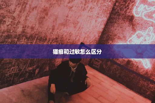 猫癣和过敏怎么区分
