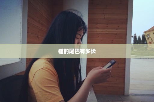 猫的尾巴有多长