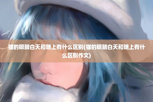 猫的眼睛白天和晚上有什么区别(猫的眼睛白天和晚上有什么区别作文)