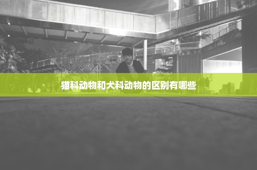 猫科动物和犬科动物的区别有哪些