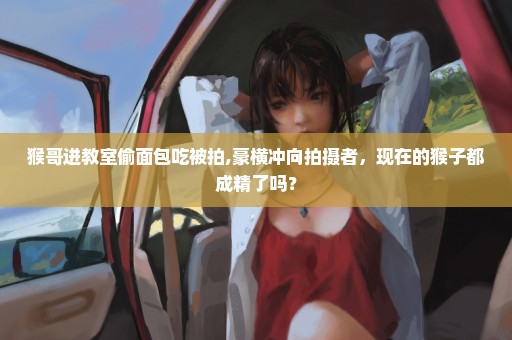 猴哥进教室偷面包吃被拍,豪横冲向拍摄者，现在的猴子都成精了吗？