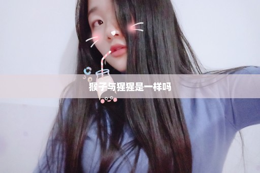 猴子与猩猩是一样吗
