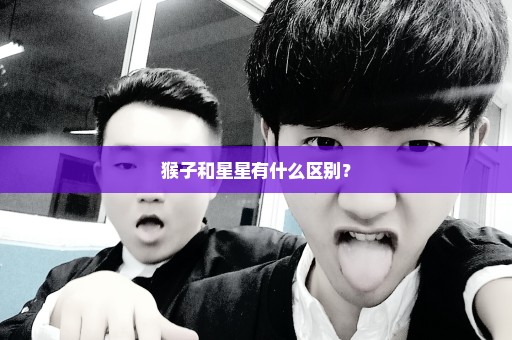 猴子和星星有什么区别？