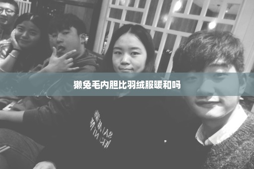 獭兔毛内胆比羽绒服暖和吗