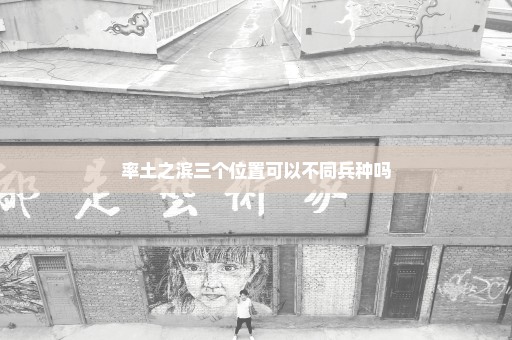 率土之滨三个位置可以不同兵种吗