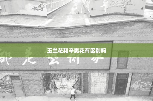 玉兰花和辛夷花有区别吗
