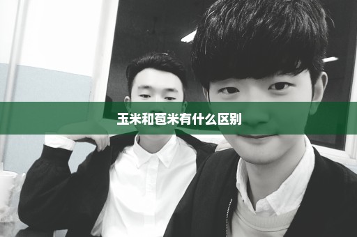 玉米和苞米有什么区别