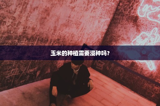 玉米的种植需要浸种吗？