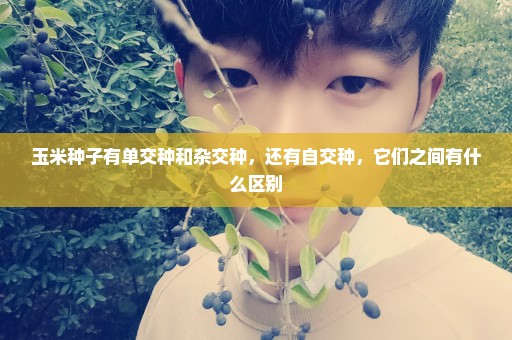 玉米种子有单交种和杂交种，还有自交种，它们之间有什么区别