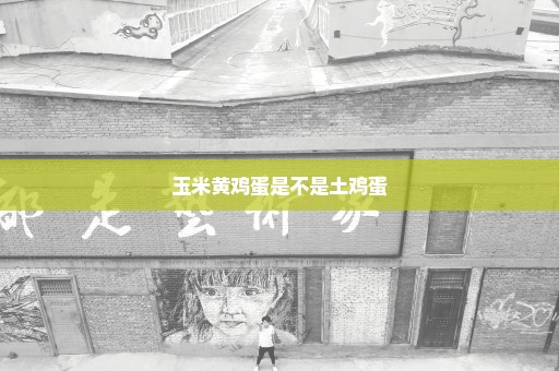 玉米黄鸡蛋是不是土鸡蛋