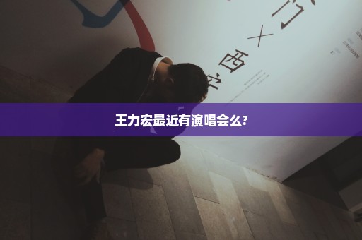 王力宏最近有演唱会么?
