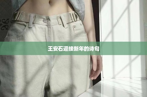 王安石迎接新年的诗句