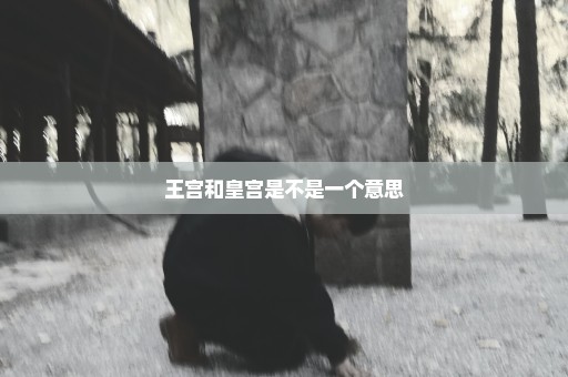 王宫和皇宫是不是一个意思