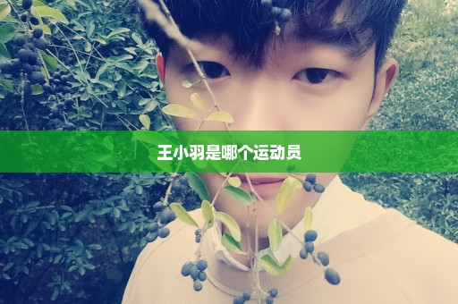 王小羽是哪个运动员