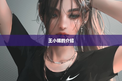 王小锡的介绍