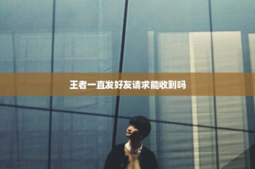 王者一直发好友请求能收到吗