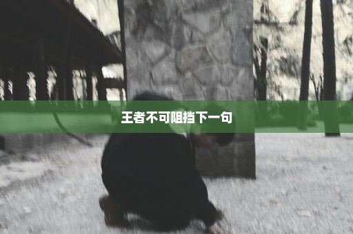 王者不可阻挡下一句