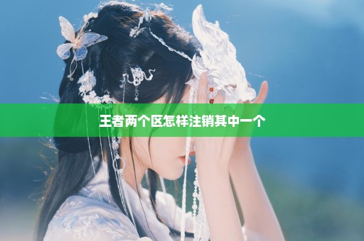 王者两个区怎样注销其中一个