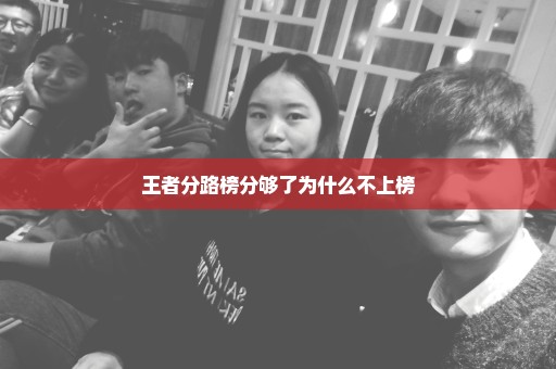 王者分路榜分够了为什么不上榜