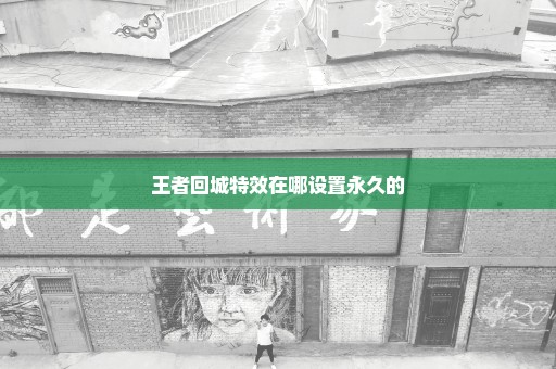 王者回城特效在哪设置永久的