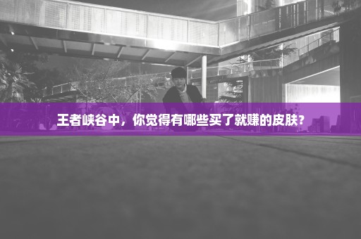 王者峡谷中，你觉得有哪些买了就赚的皮肤？