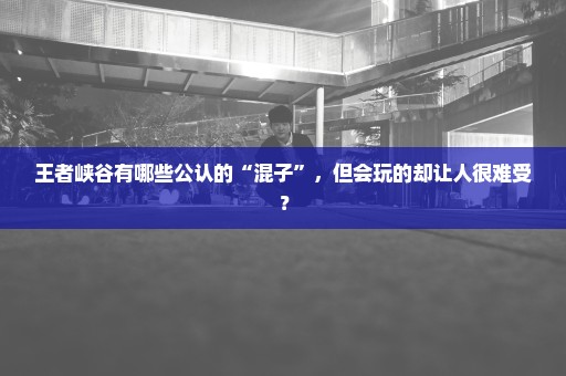 王者峡谷有哪些公认的“混子”，但会玩的却让人很难受？